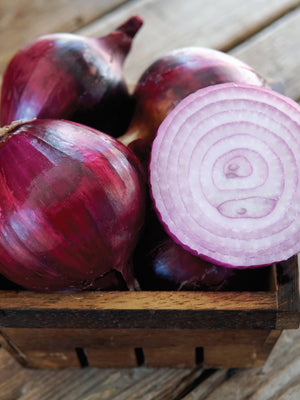Front view of Red Spring onion bulbs, one sliced to show wine-red interior rings, arranged in a wooden basket