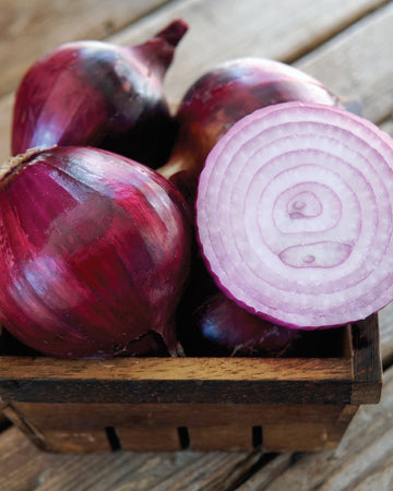 Front view of Red Spring onion bulbs, one sliced to show wine-red interior rings, arranged in a wooden basket