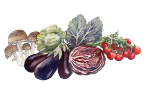 ORGANICS