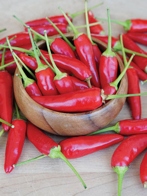 Close-up of Buffy Thai pepper fruits showcasing glossy, thick-walled red peppers on white background
