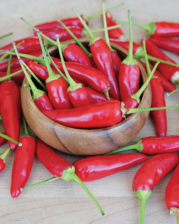 Close-up of Buffy Thai pepper fruits showcasing glossy, thick-walled red peppers on white background