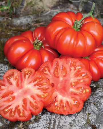 Front view of Costoluto Fiorentino tomato showing flattened, ribbed red fruit with a sliced cross-section on white background