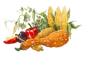 VEGETABLES