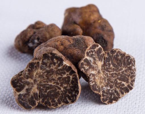 Truffle Tree