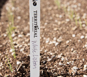 Labeling