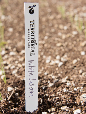Labeling