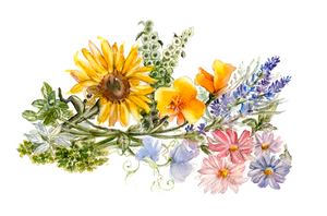FLOWERS & HERBS