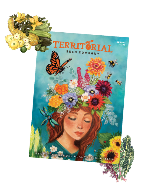 Territorial Seed Company catalog cover with a woman's face surrounded by flowers and nature elements.