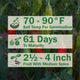 Informational graphic for aji rico peppers showing soil temp 70-90 F for germination; 61 days to maturity; 2 1/2 - 4 inch fruit with medium spice