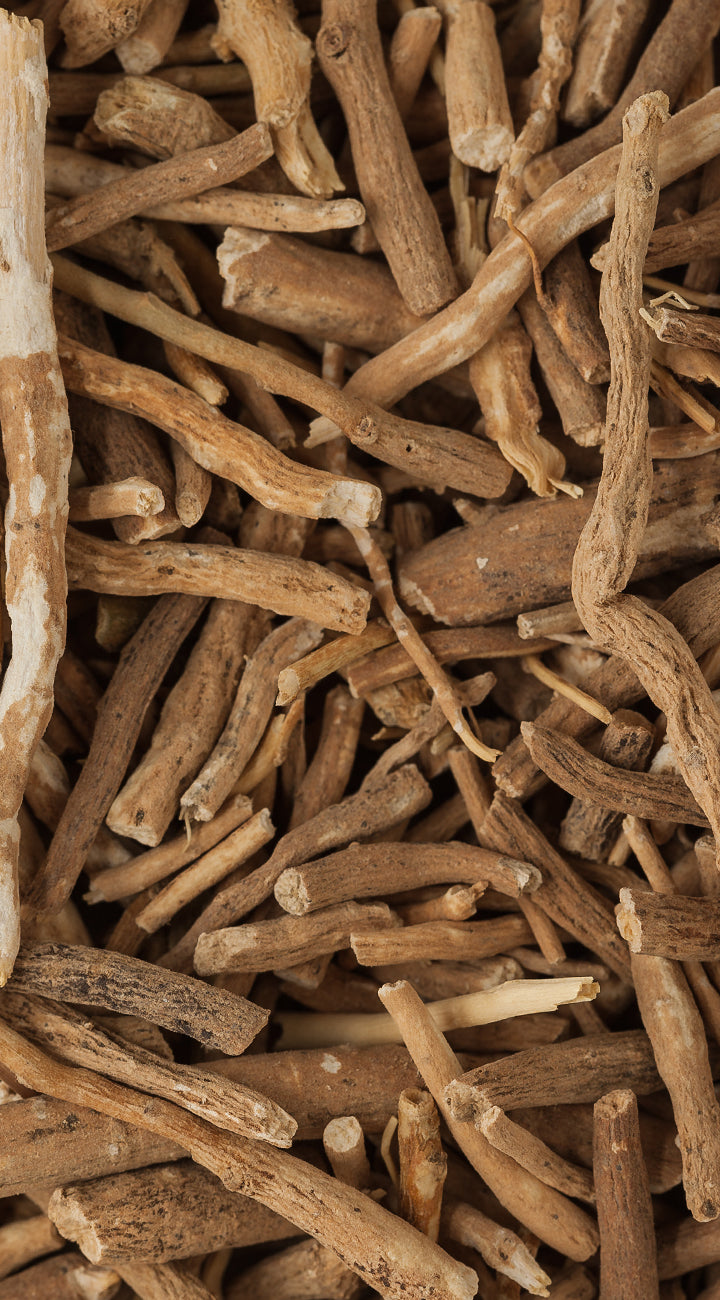 Close-up of dried Ashwagandha roots or herbs with a brown color.