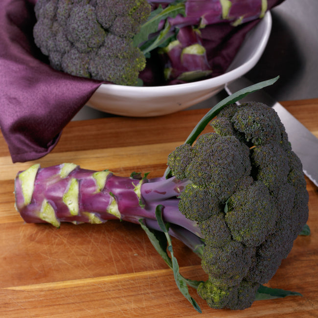 Angled view of Purple Magic broccoli showcasing a purple stem and tight greenish-purple head on a wooden cutting board