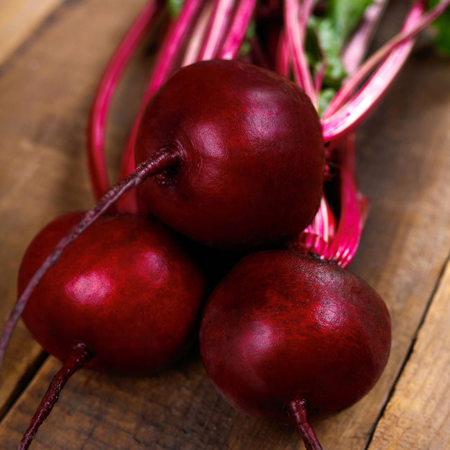 Front view of three Gemini beets showcasing dark red globe-shaped roots and green tops on a dark background