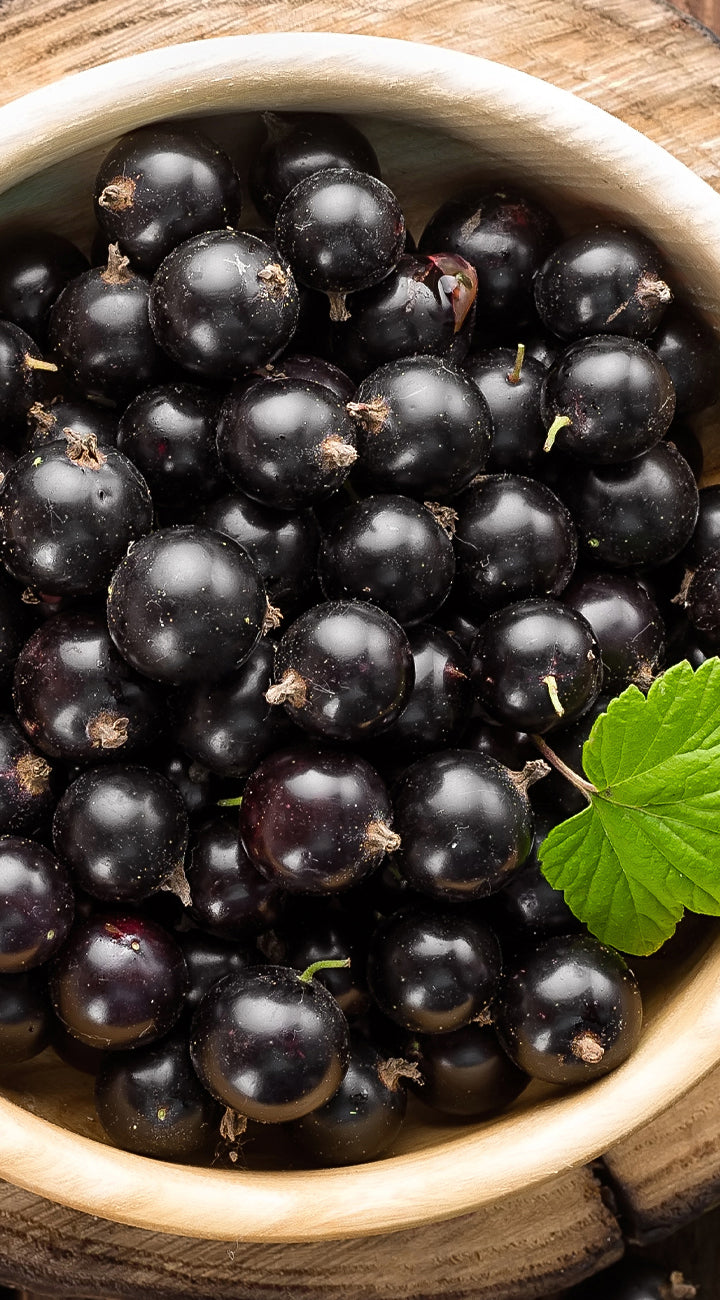 Close-up of black currants in a wooden bowl with a green leaf.