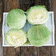 Overhead view of Tundra cabbage showing two whole and two halved savoyed light-green heads, 2-3 lb, on a wooden surface