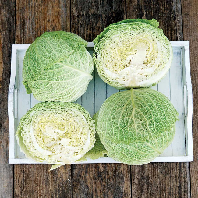 Overhead view of Tundra cabbage showing two whole and two halved savoyed light-green heads, 2-3 lb, on a wooden surface