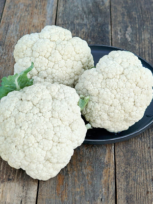 Three Snow Crown cauliflower heads showing tight white domed curds on a dark plate