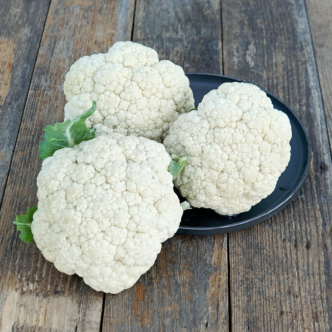 Three Snow Crown cauliflower heads showing tight white domed curds on a dark plate
