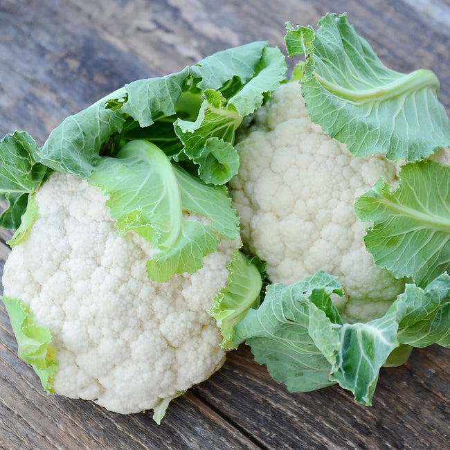 Close-up of Snowbowl cauliflower showing ivory domed curd and light blue-green wrapper leaves on white background