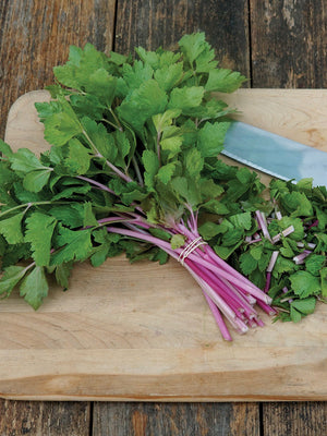 Bunch of Chinese Pink celery showing pink and cream streaked stalks and light green leaves on a wooden cutting board