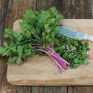 Bunch of Chinese Pink celery showing pink and cream streaked stalks and light green leaves on a wooden cutting board