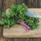 Bunch of Chinese Pink celery showing pink and cream streaked stalks and light green leaves on a wooden cutting board
