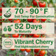 Badge-style infographic showing 52 days to maturity and recommended soil temperature 70-90 F for sweet cherry Crokini tomato