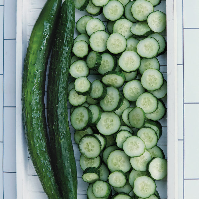 Top view of Dragon Suhyo cucumber showing two long slender cucumbers and many round cucumber slices in a white tray