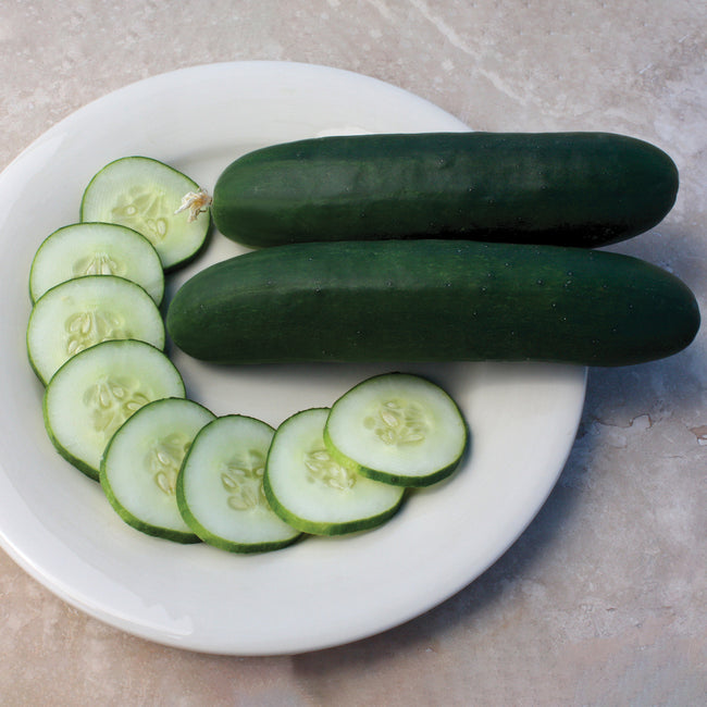 Top-down view of Slice More cucumbers showing two dark-skinned fruits and uniform slices on a white plate