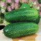 PROVISION-CUCUMBER