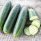 Front view of three Goliath cucumbers, two whole and one sliced, showing smooth dark green skin and pale green interior