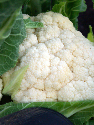 Close-up of a cauliflower head with green leaves