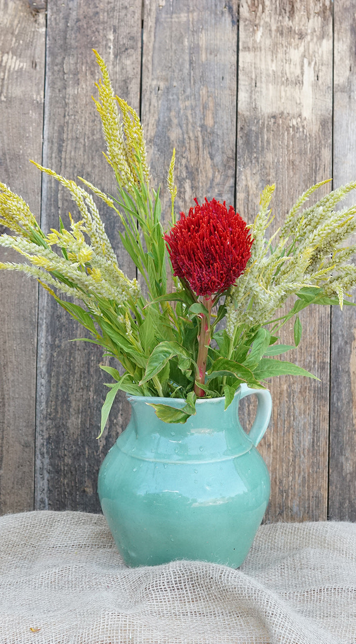 Teal pitcher with red Celosia flower and greenery against a wooden background