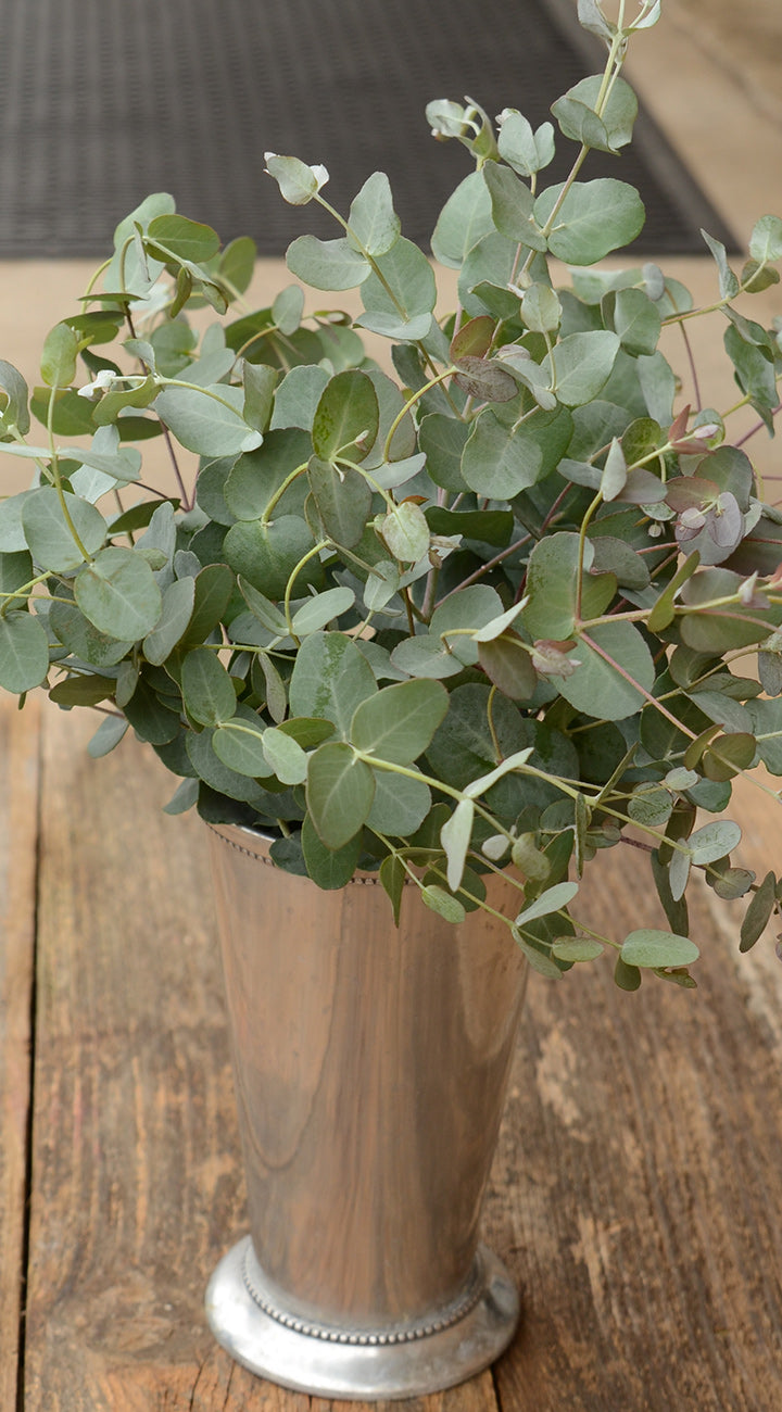 Bouquet of eucalyptus in a metallic vase on a wooden surface