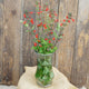 Close-up front view of Scarlet Sage (Salvia) stems with bright scarlet tubular flowers against a rustic wood background