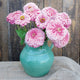 Close-up of Illumination zinnia bouquet showcasing frosted pink double blooms and bold centers in a green vase on a wooden surface