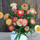 Front view of King Size Salmon strawflower bouquet showing papery salmon, peach, coral, and yellow blooms against a dark background