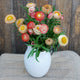 Three quarter view of King Size Salmon strawflower stems in a white vase showcasing papery salmon, coral, and buttery yellow blooms on long stems