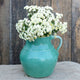 Front view of Magic Lime Green feverfew with pale lime green daisy like flower heads on tall stems