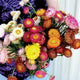 Hand-held bouquet of Endless Summer strawflower mix showing vibrant double blooms in pink, yellow, and orange on white background