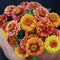 AZTEC SUNSET MIX-ZINNIA