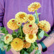 Close-up of Queen Lemon Peach zinnia blooms showcasing soft yellow and pastel apricot semi-double flowers against a purple background