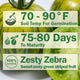 Green Zebra Tomato
