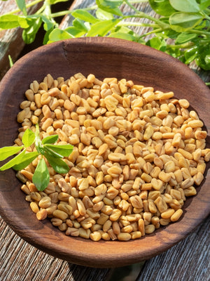 Top-down view of fenugreek seeds in a wooden bowl with a small green sprig on weathered wood background
