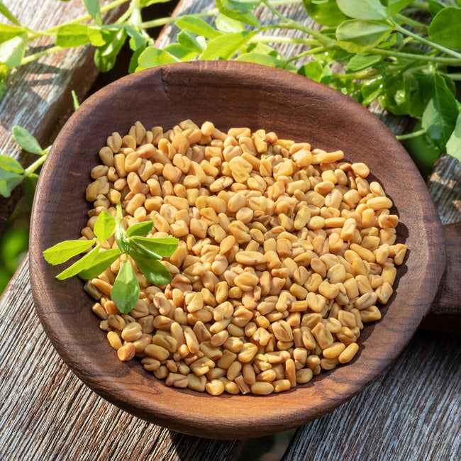 Top-down view of fenugreek seeds in a wooden bowl with a small green sprig on weathered wood background