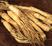 Close-up of American ginseng roots showing several whole tapered tan roots on a dark background