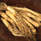 Close-up of American ginseng roots showing several whole tapered tan roots on a dark background