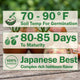 Japanese Trifele Black Tomato