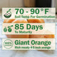 Front view of Kellogg’s Breakfast tomato graphic showcasing the variety name on a banner