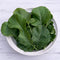 Bowl of green leafy texsel greens kale on a white wooden surface.