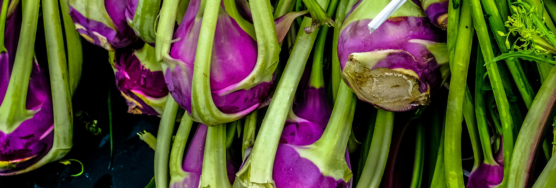 Close-up of purple kohlrabi with green stems on a dark background